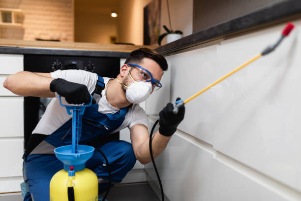Pest Control for Restaurants in Homestead Meadows South, TX