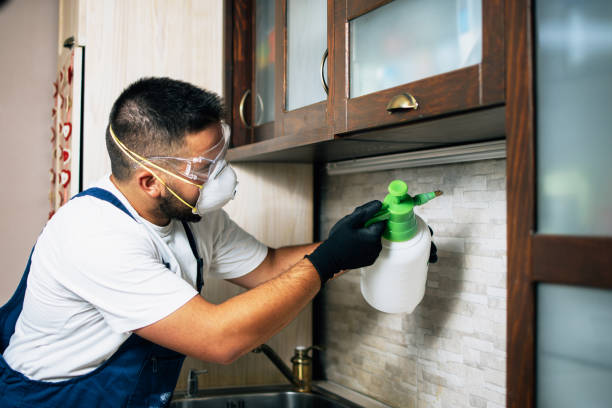 Pest Control Cost in Homestead Meadows South, TX