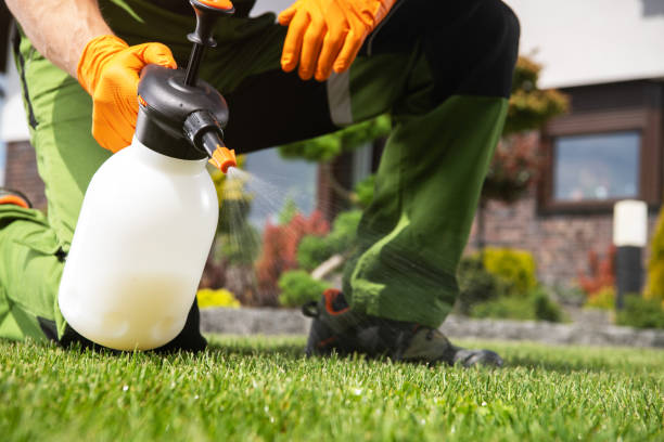 Insect Control in Homestead Meadows South, TX