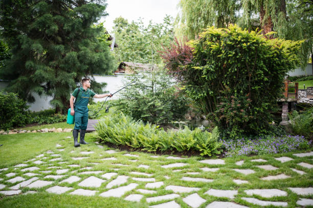 Professional Pest Control in Homestead Meadows South, TX