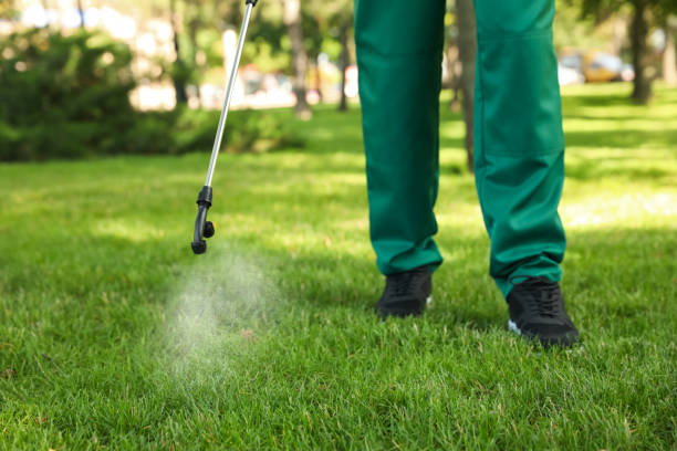 Best Termite Control Services  in Homestead Meadows South, TX