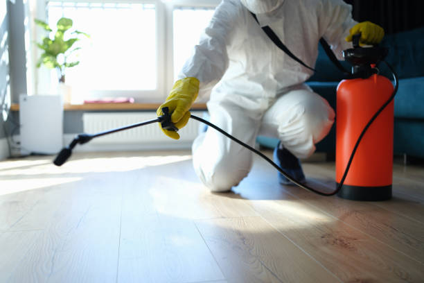 Best Best Pest Control Companies  in Homestead Meadows South, TX