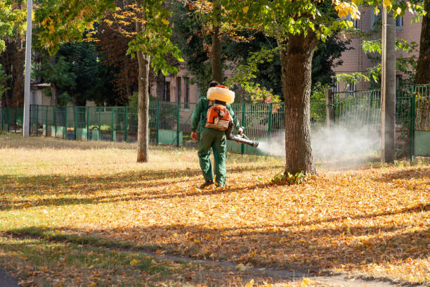 Insect Control in Homestead Meadows South, TX