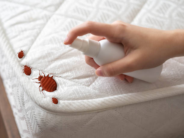 Best Best Pest Control Companies  in Homestead Meadows South, TX