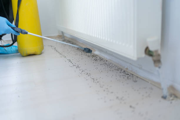 Best Commercial Pest Control Services  in Homestead Meadows South, TX